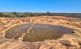 Murchison 23