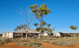 Murchison 23